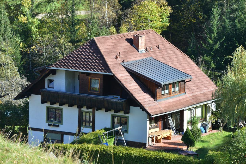 Appartement Casa Mia à Sankt Georgen ob Murau Extérieur photo